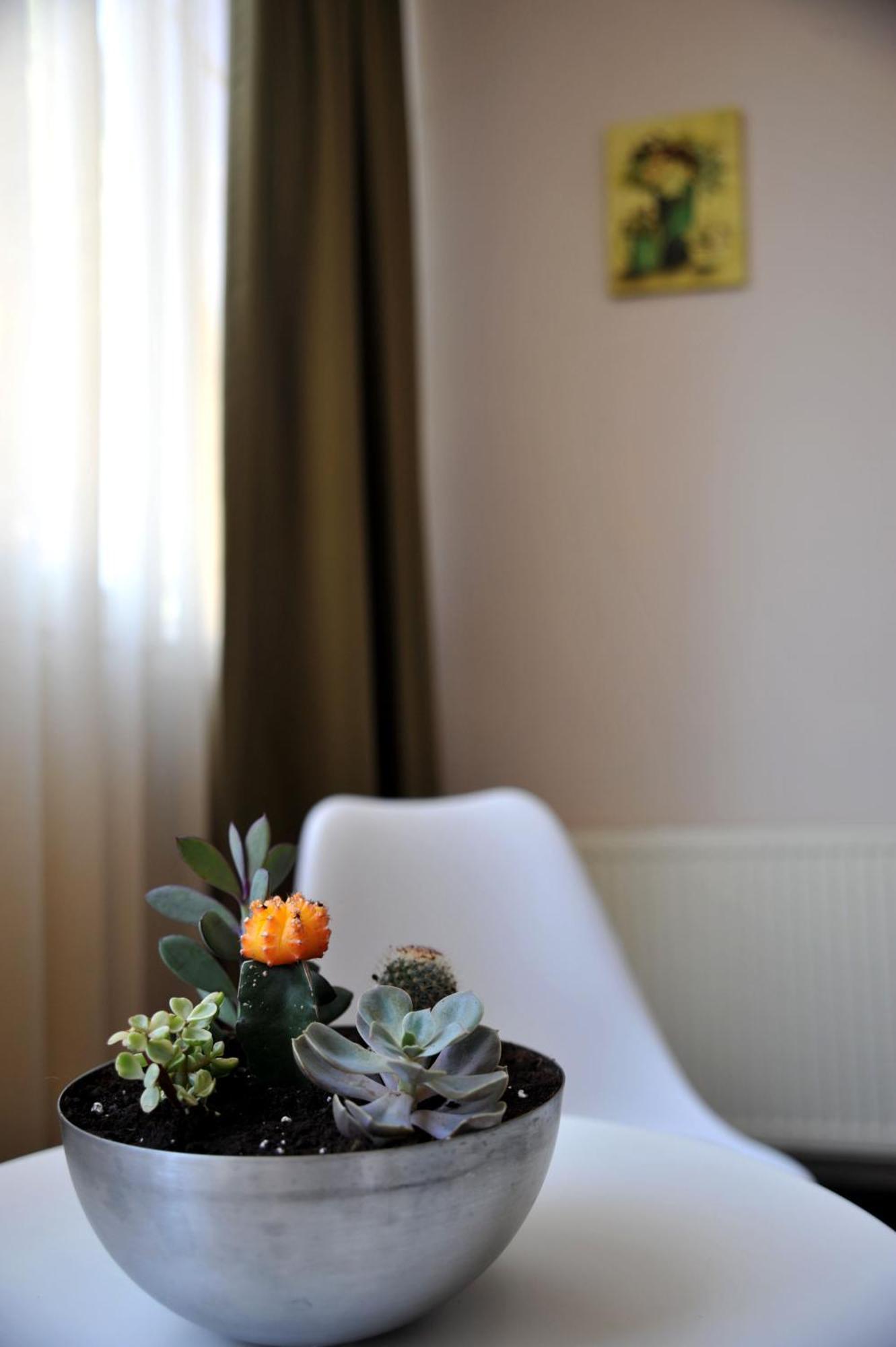 Like Home Braşov Esterno foto